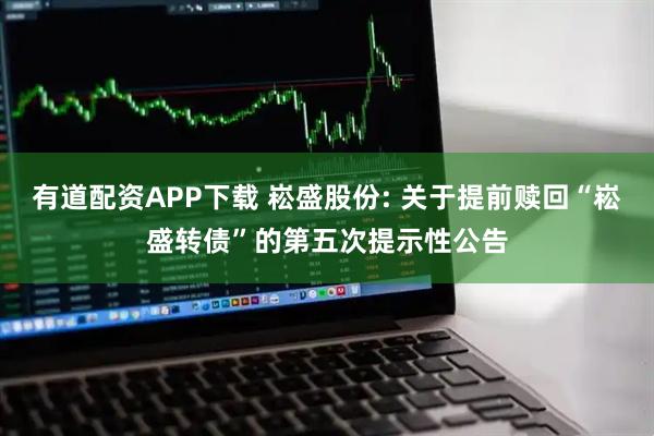 有道配资APP下载 崧盛股份: 关于提前赎回“崧盛转债”的第五次提示性公告