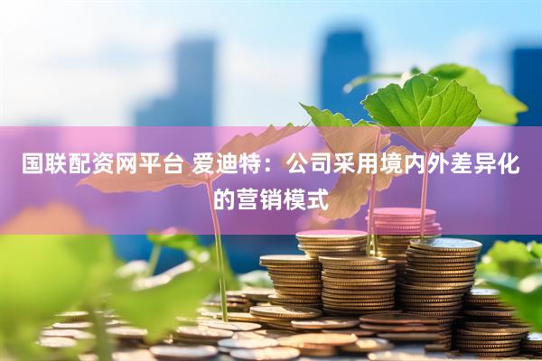 国联配资网平台 爱迪特：公司采用境内外差异化的营销模式