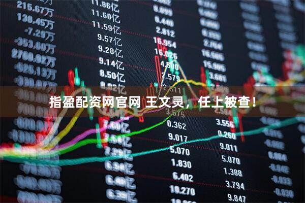 指盈配资网官网 王文灵，任上被查！